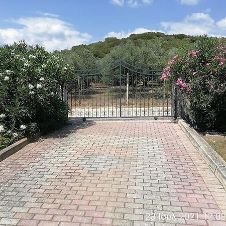 Elena'S Green House Nea Iraklitsa Екстериор снимка